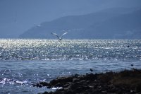 Foto (© Eurokinissi)