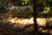 Archivfoto (© Eurokinissi)