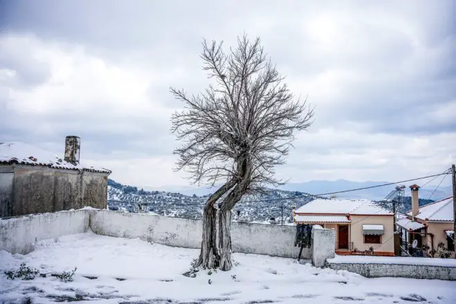 Archivfoto (© Eurokinissi)