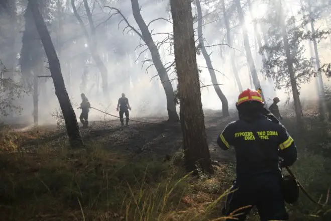Unser Foto (© Eurokinissi) entstand am Dienstag (30.6.) während des Waldbrandes bei Derveni.