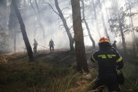 Unser Foto (© Eurokinissi) entstand am Dienstag (30.6.) während des Waldbrandes bei Derveni.