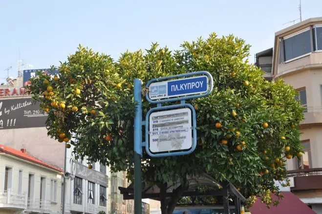 Als Pfadfinder im Großstadtdschungel (Teil 2)