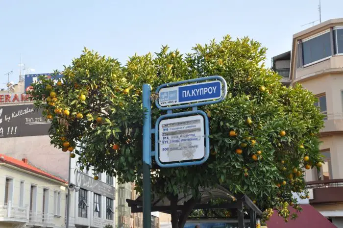 Als Pfadfinder im Großstadtdschungel (Teil 2)