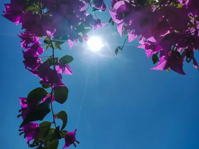 Warm, windig, wolkig