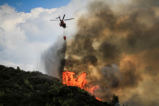 Unsere Fotos (© Eurokinissi) entstanden am Montag (20.8.) in der Nähe des Dorfes Dafniotissa in der Region Ilia auf der Peloponnes.