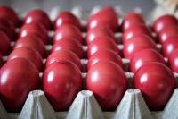 Verschnaufpause zur Osterpause: Wo feiern die Politiker? 