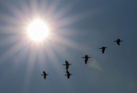 Foto (© Eurokinissi)