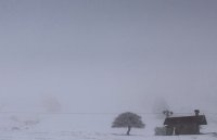 Unser Foto (© Eurokinissi) entstand am Sonntag (3.5.) in Kalavryta auf der Peloponnes.