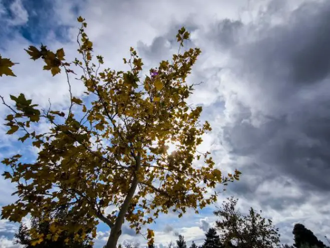  Foto (© Eurokinissi)