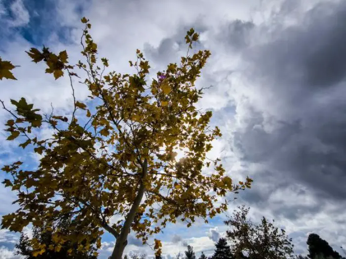  Foto (© Eurokinissi)