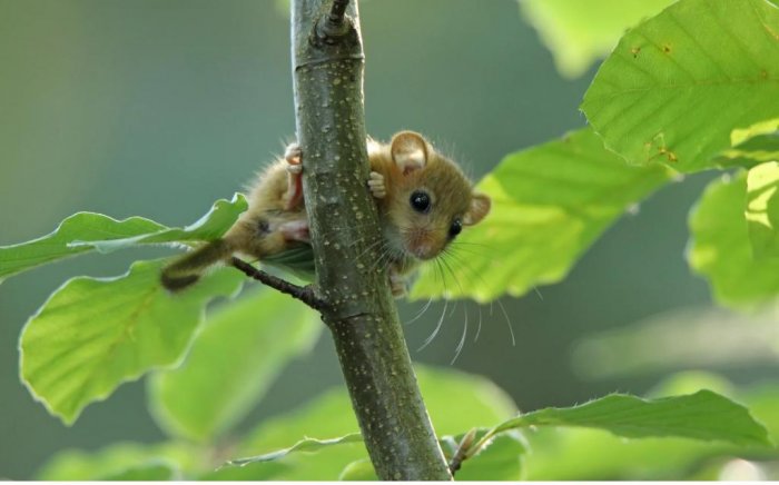 Archivfoto (© Canva)