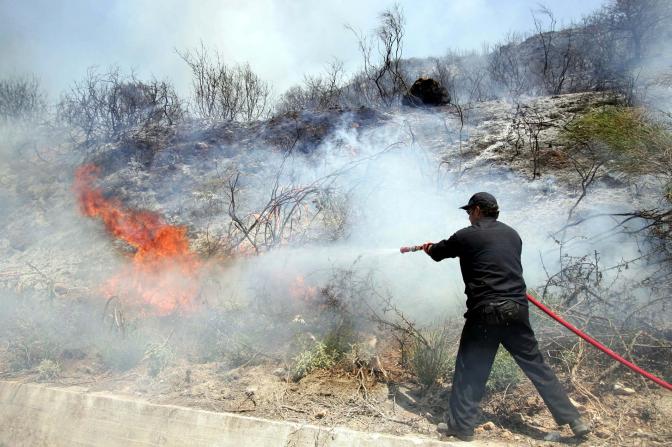 Waldbrand auf der Insel Euböa unter Kontrolle