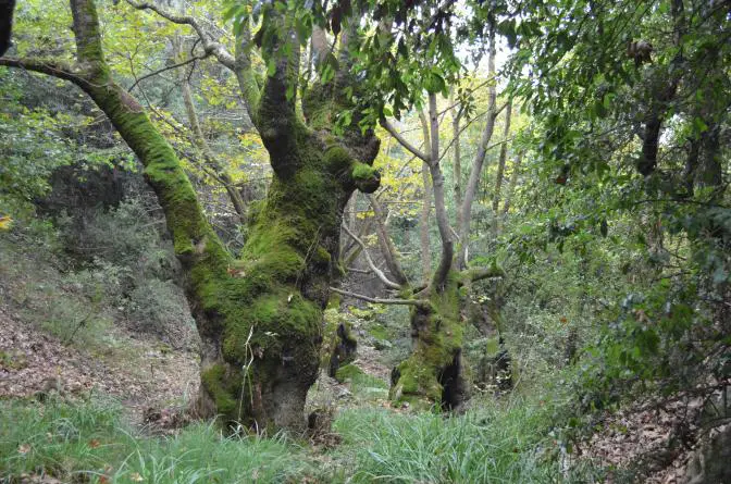 Das Wetter für Athen und ganz Griechenland