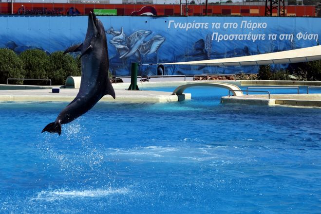 Vier „Finnländer“ im Attischen Delphinarium