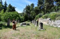 Unser Archivfoto (© Griechenland Zeitung / Jan Hübel) entstand in der Archäologischen Stätte Amphiarion im attischen Ort Oropos.