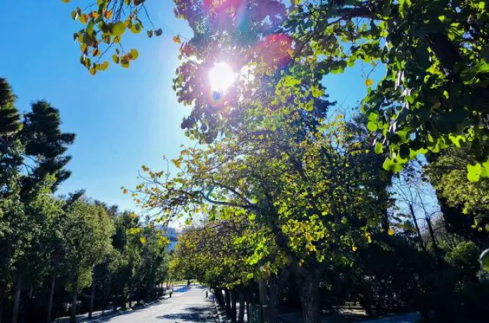 Archivfoto (© Eurokinissi)