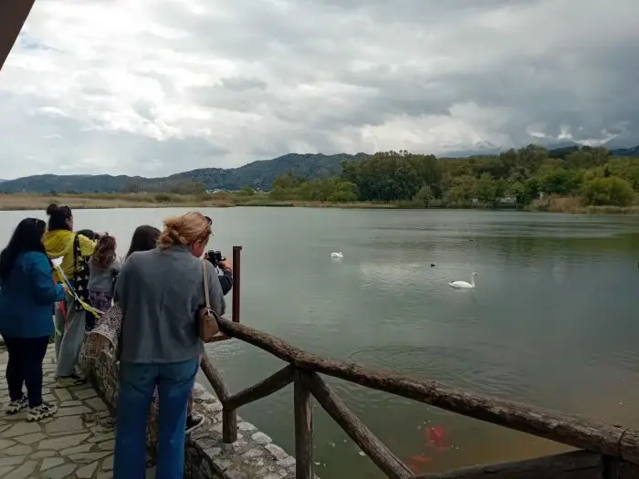 Unser Foto (©fotis_pontikakis) zeigt Schwäne am Agia-See. 