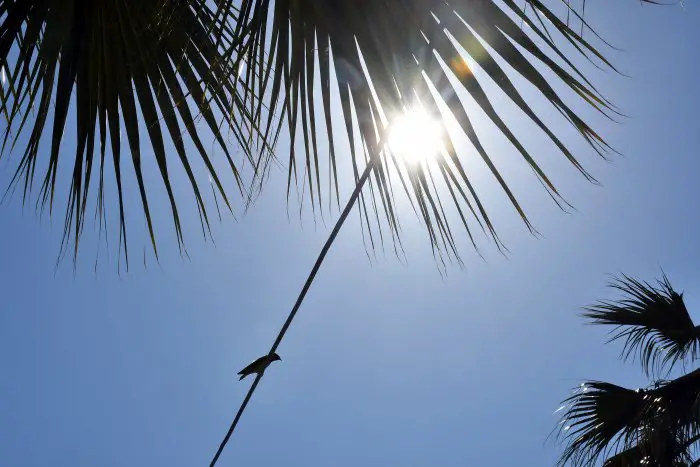 Kurze Hitzewelle: Temperaturen bis 41° C in Griechenland