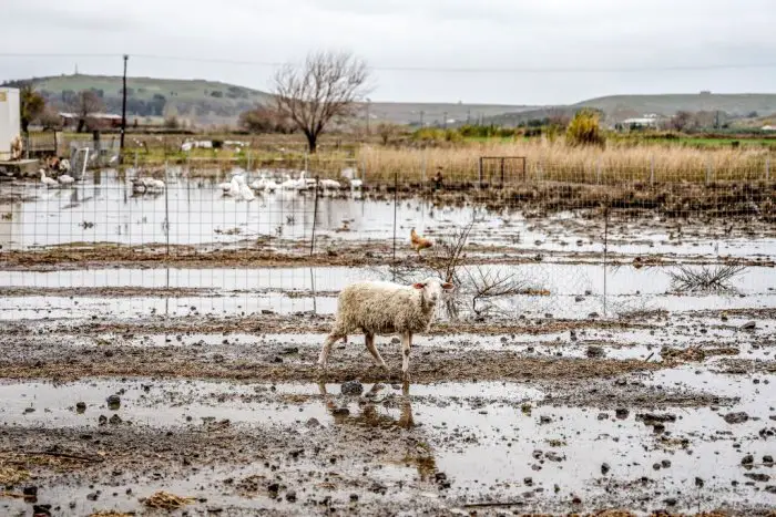 Unser Foto (© Eurokinissi) entstand nach den Überschwemmungen auf der Insel Limnos Ende 2024.