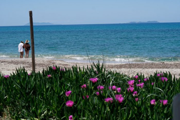 Farben des Frühlings an einem Strand der Peloponnes (Foto: ©  Eurokinissi)