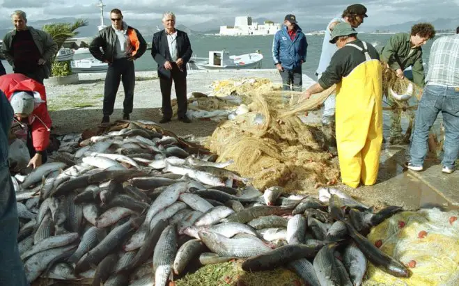 Fischer bei Nafplio sorgen sich um ihren täglichen Fang. (Fotos: ek/Archiv)