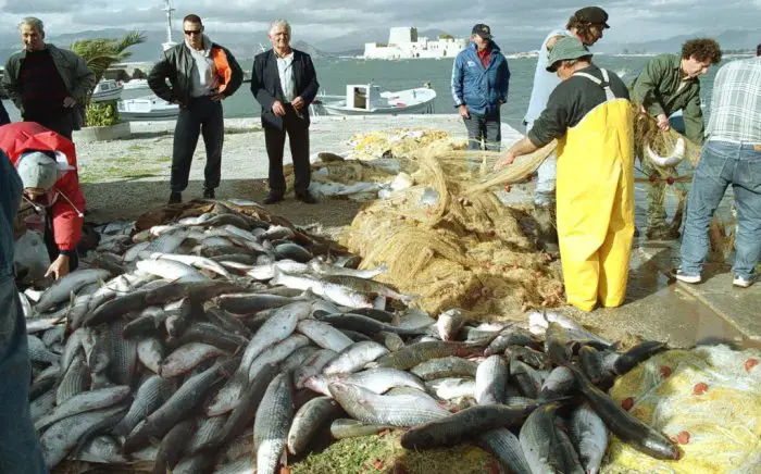Fischer bei Nafplio sorgen sich um ihren täglichen Fang. (Fotos: ek/Archiv)