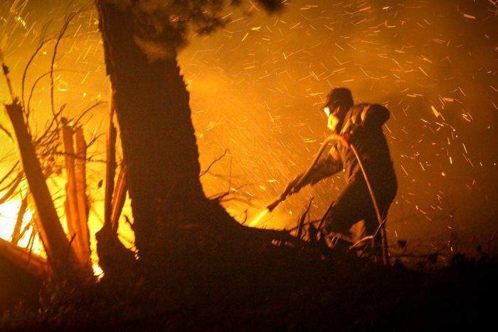 Waldbrand auf dem heiligen Berg Athos unter Kontrolle der Feuerwehr