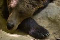 Archivfoto (© Eurokinissi)