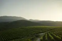 Das Foto (© musique.gr) zeigt den Ausblick auf die Weinplantage von Kir-Yianni.