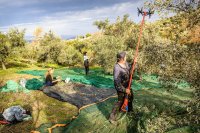 Foto:(© Richard Fraunberger)