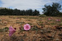 Archivfoto (© Eurokinissi)