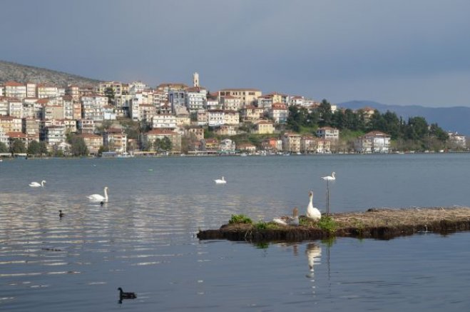 Archivfoto (© GZ/jh)