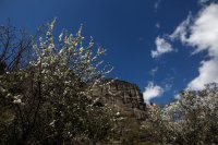 Foto (© Eurokinissi)