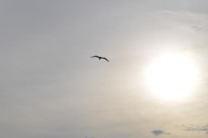 Das Wetter für Athen und ganz Griechenland