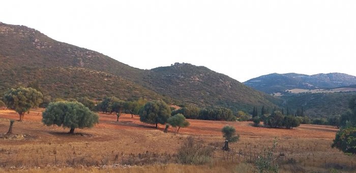 Foto (© Griechenland Zeitung / lg)