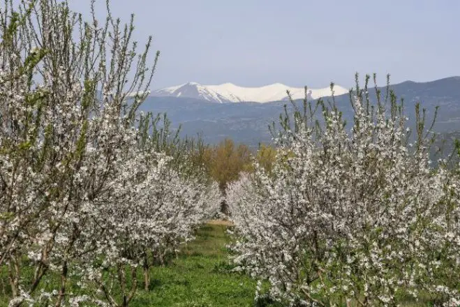 Archivfoto (© Eurokinissi)