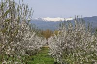 Archivfoto (© Eurokinissi)