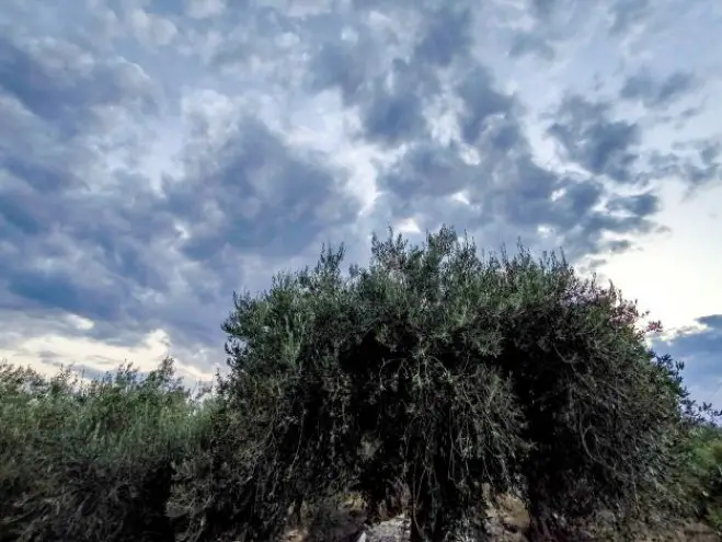 Archivfoto (© Eurokinissi)