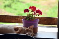 Foto (© Eurokinissi) 