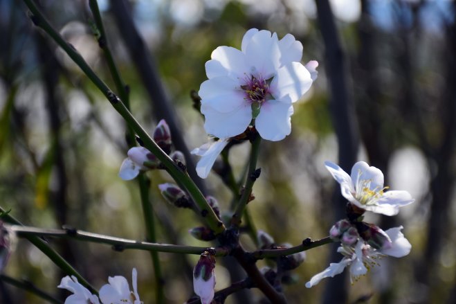 Archivfoto (© Eurokinissi)