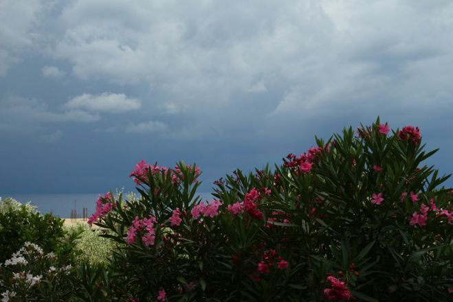 Foto: ©Hubert Seifert (Kalamata)