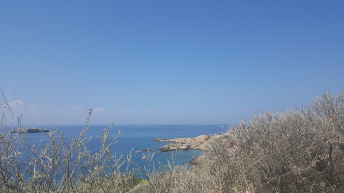Unser Archivfoto (© Griechenland Zeitung / Celine Rebling) entstand im Süden Athens.