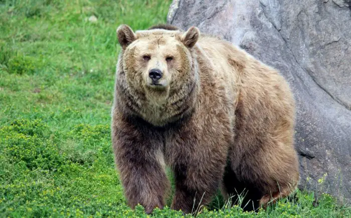 Symbolbild (© Canva)