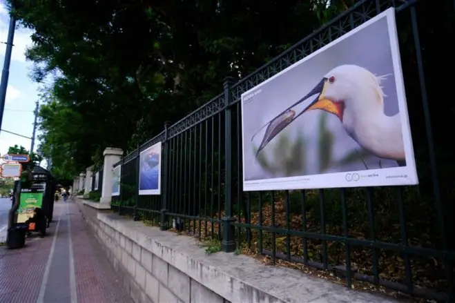 Unser Foto (© Andrea Bonetti / WWF Griechenland) zeigt die Fotoausstellung.