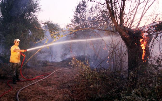 Waldbrände kosten das Leben eines Feuerwehrmannes