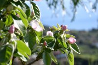 Archivfoto (© Griechenland Zeitung / jh)