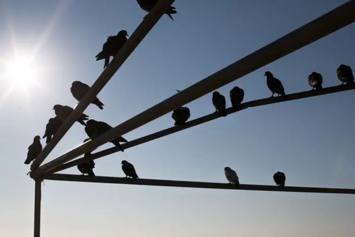 Ohne Unwetter aufwärts Richtung Weihnachtscountdown