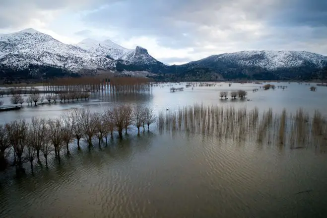 Unser Foto (© Eurokinissi) entstand am Montag (14.1.) in Arkadien auf der Peloponnes.