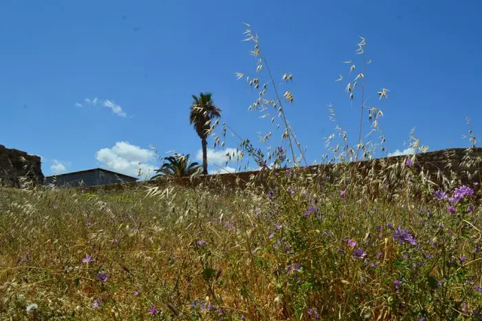 Foto © Griechenland Zeitung / Elisa Hübel
