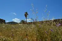 Foto © Griechenland Zeitung / Elisa Hübel